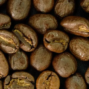 Arabica Kenia AB