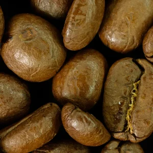 Arabica Nikaragua SHG
