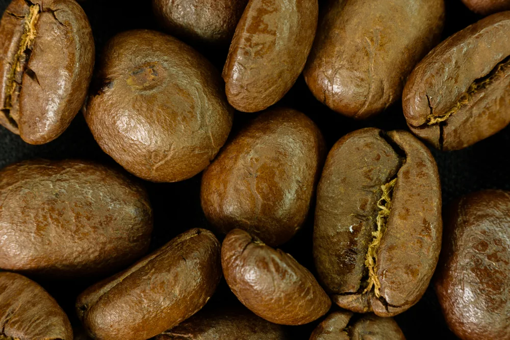 Arabica Nikaragua SHG