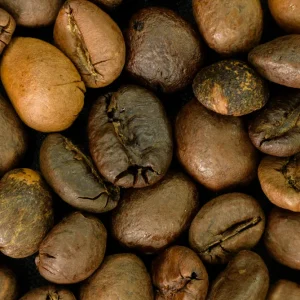 Robusta Wietnam