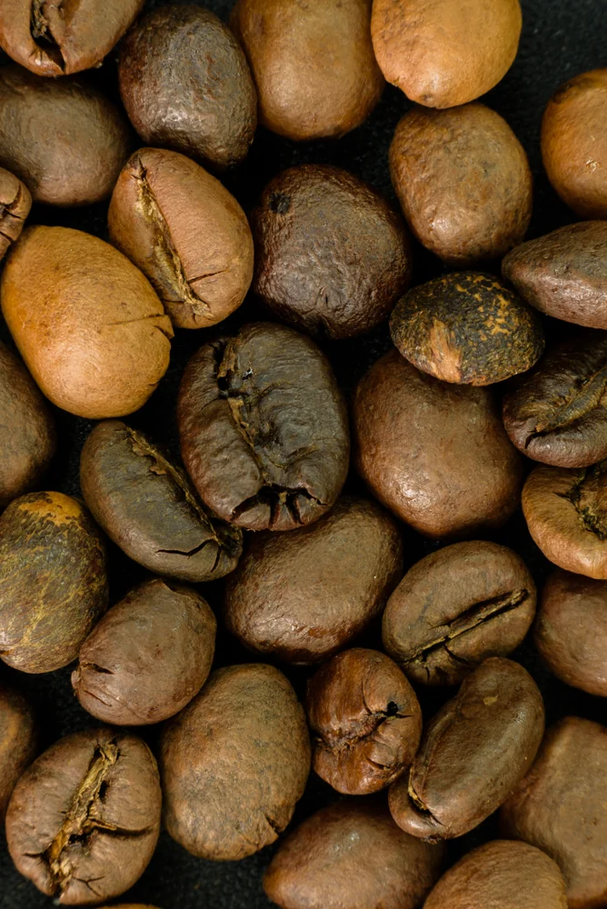 Robusta Wietnam
